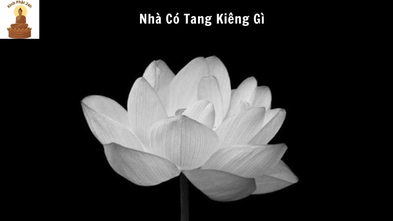 nhà có tang kiêng gì